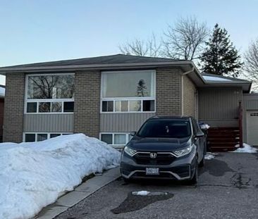 For Lease - 17 Gable Drive Unit# Basement, Brampton, Ontario - Photo 2