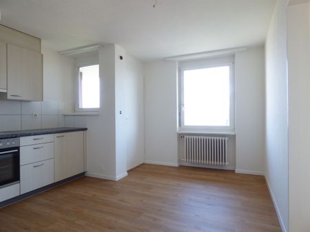 Enjoy the great view of Lake Zurich! - Photo 3