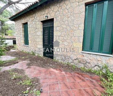 Μονοκατοικία για ενοικίαση Κέντρο (Άγιος Στέφανος) - Photo 2