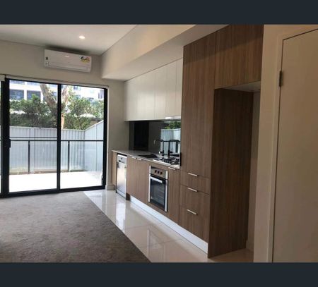 8 Murrell Street, Ashfield, NSW 2131 - Photo 4