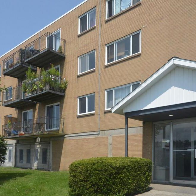 3 Dillman Place - Photo 1