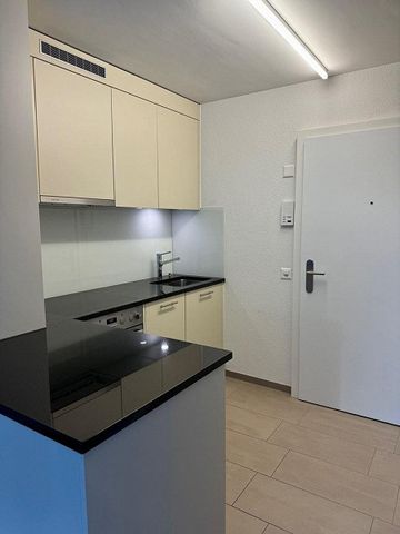 Moderne 1.5-Zimmer-Wohnung im Grünen zu vermieten - Foto 4