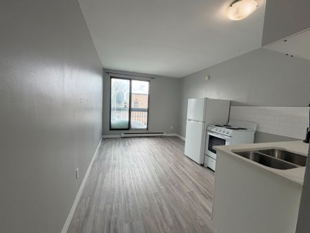 For Lease - 91 Thames Street Unit# 303, Ingersoll, Ontario - Photo 3