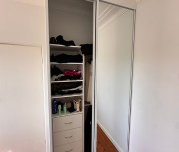 North Narrabeen - Photo 4