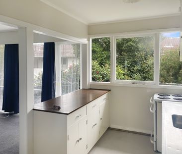 Sunny 1 bedroom in Woburn - Photo 4