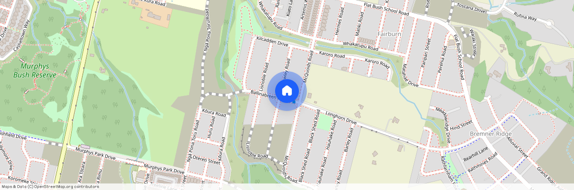 3 Ballinabreen Road, Flat Bush, Manukau City