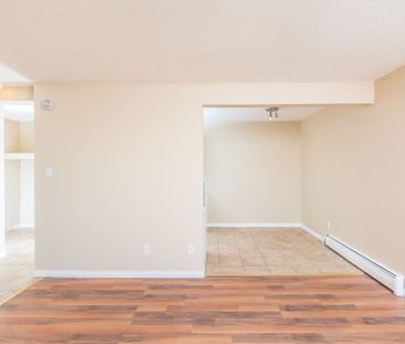 Alexander Apartments - Photo 5