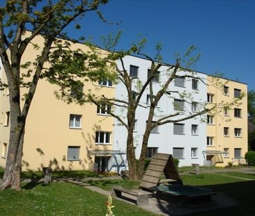 LOCATION SANS ACOMPTE - Appartement cosy de 2,5 pièces - Photo 4