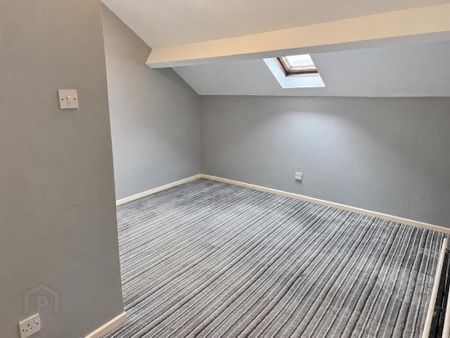 34 Thalia Street, Donegal Road, Belfast, BT12 5PT - Photo 5