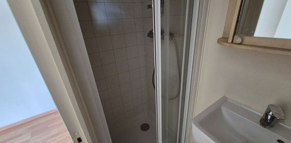 Location Appartement 1 pièce 15m² TOURS 37100 - Photo 2