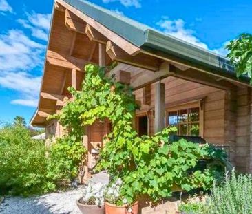 A True Sweetheart - Photo 5