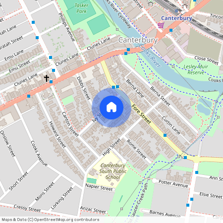 6 Ivy Street, NSW 2193, Canterbury