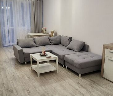 Kawalerka plus! Na wynajem, Stare Miasto - Zdjęcie 4