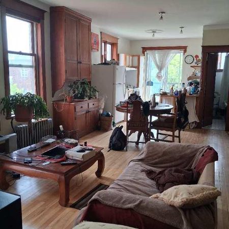 Magnifique grand 4 1/2 situé Rosemont/Petite-Patrie (Montréal) - Photo 3