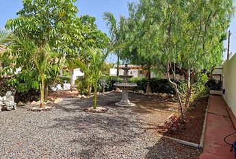 Se alquila en Estrella del Sur apartamento de 1 dormitorio