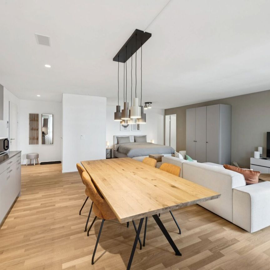 Furnished apartments with Madrid charm in the largest shopping center in Switzerland - Photo 1