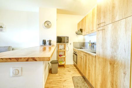 A louer - Studio - Pietranera - Photo 3