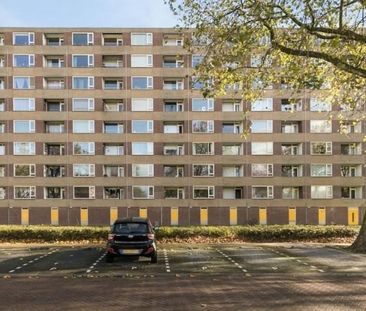 Fluitekruidweg 0ong, 1508 Zaandam, Nederland - Foto 3