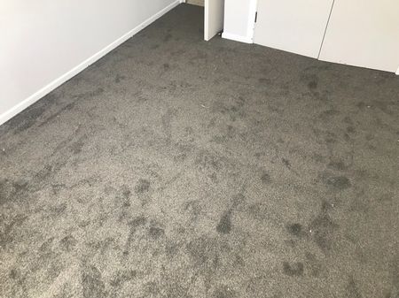 Unit 1, 211 Shirley Road, Papatoetoe, Auckland - Photo 5