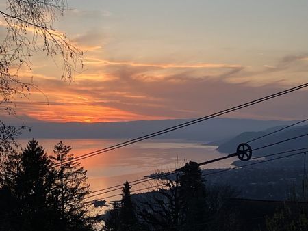 4.5-room ground floor apartment - Photo 3