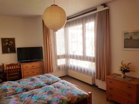 2-ROOM APARTMENT IN VIGANELLO (TI), FURNISHED - Photo 2