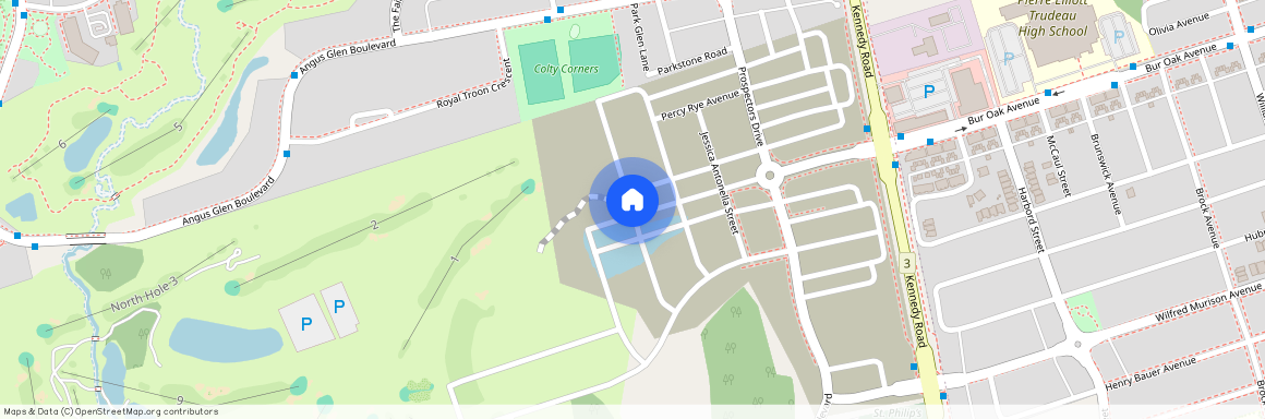 Freeman Williams Street, Markham