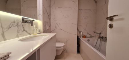 Apartment for rent in the central area of Cluj-Napoca, at 5 minutes by foot to the University of Medicine and Pharmacy, consisting of living-room with kitchen, bedroom and a 20 sqms terrace - Fotografie 5