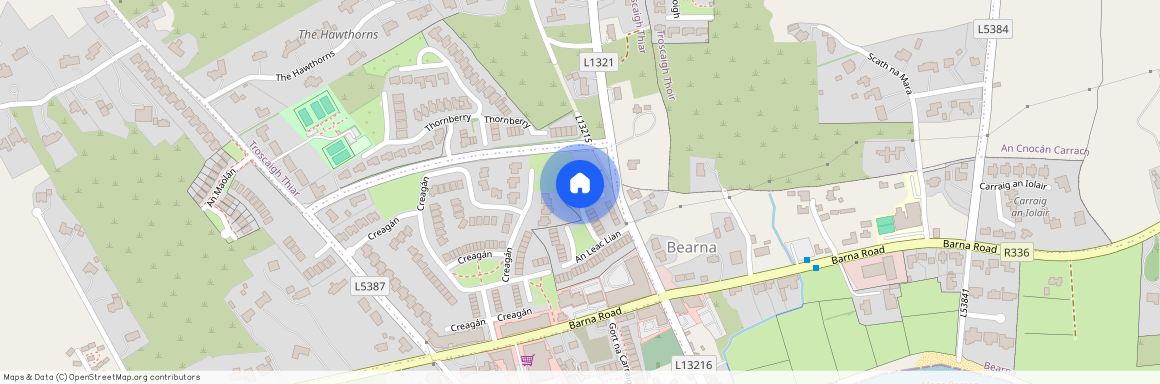 6 An Leac Lian, Barna, Galway