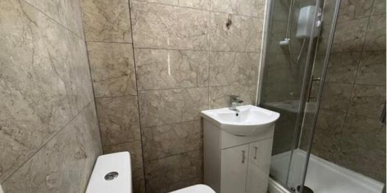 Hall Lane, L7 - Photo 3