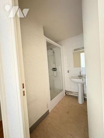 Bel appartement en duplex (Centre de CUSSET) - Photo 4