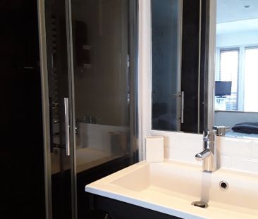 Location Appartement 1 pièce 20m² TOULOUSE 31400 - Photo 6