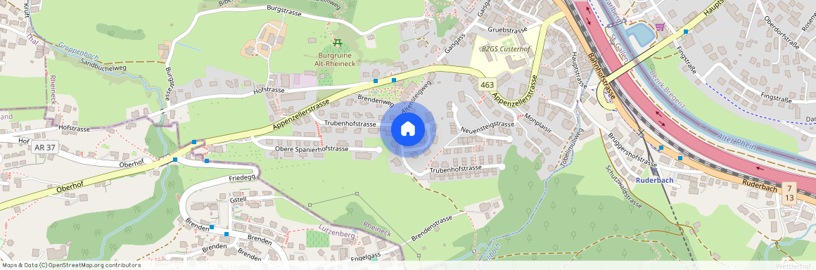 Trubenhofstrasse 13, 9424 Rheineck