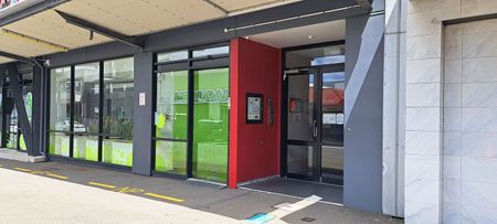 Chic Te Aro Studio Apt with Lift Access - Photo 4