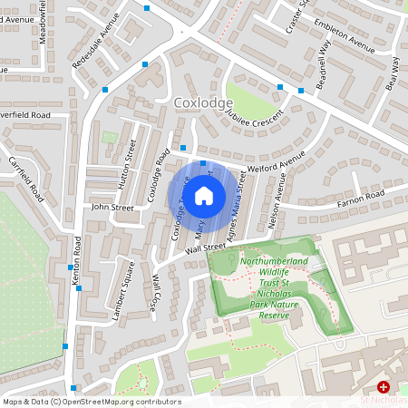 Mary Agnes Street, Coxlodge, NE3