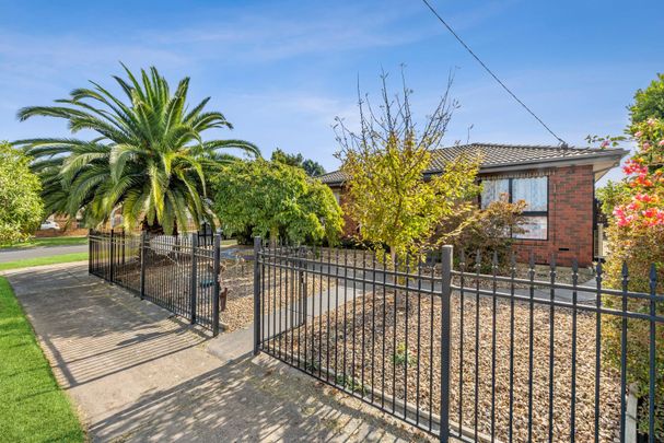 Updated 3BR Family Home With A Huge 5 Car Garage/Workshop Space - Photo 1