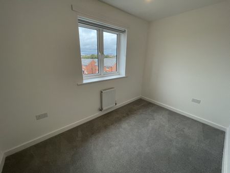 The Seaborg - Photo 4