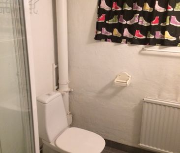 Rudenschöldsgatan, Lidköping - Foto 5