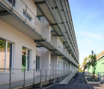 2.5-room apartment on the 6th floor for rent in Fribourg - Photo 5