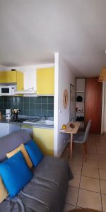 Location Appartement 1 pièce 21m² ST DENIS 97400 - Photo 4