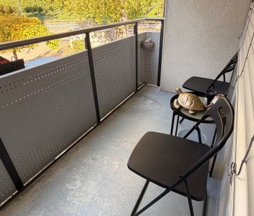 Nachmieter gesucht – 2.5-Zimmerwohnung in Uster - Foto 5