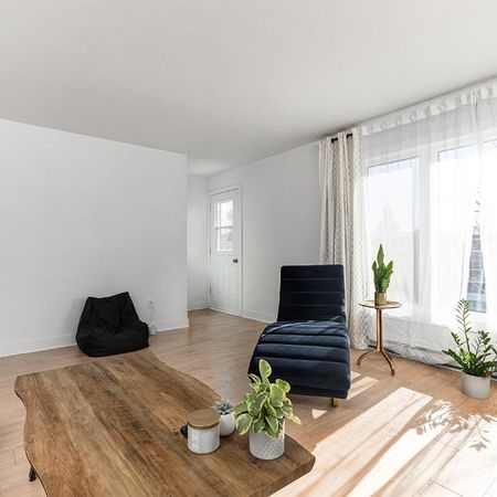 Grand 5 1/2 à Longueuil. Inclus les électroménagers, stationnement, balcon arrière privé. - Photo 4