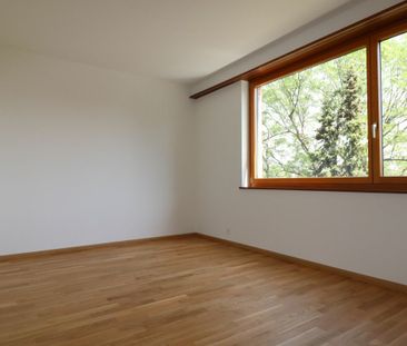 Schöne 2 1/2 Zimmer-Wohnung in Birsfelden befristet zu vermieten - Photo 1