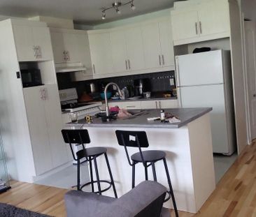 7350 18e Avenue, app.1, H2A 2N2, H2A 2N2, Montréal - Photo 1