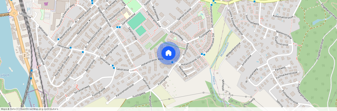 Höhenstrasse West 29, 4600 Olten