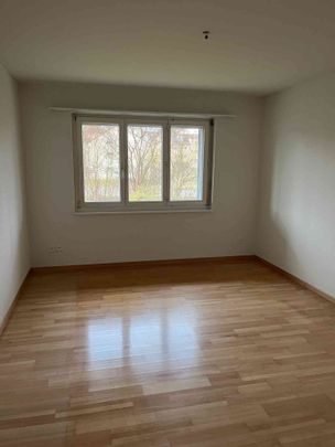 2.5 Zimmer, 75 m², 1. Stock - Foto 1