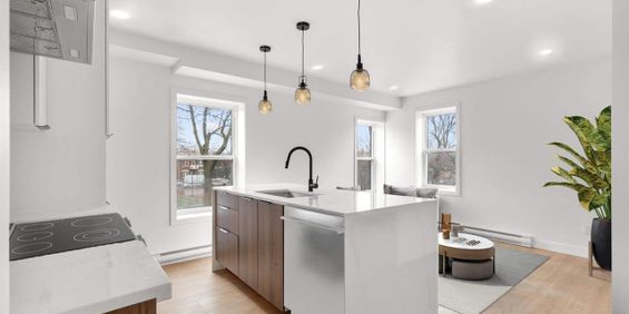 1 CH - 1 SDB - Montréal - $1,685 /mo - Photo 3