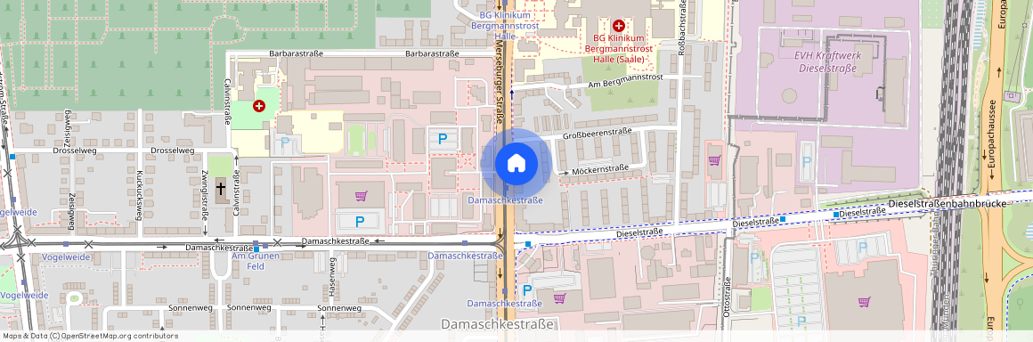 Merseburger Str. 197, 06112 Halle (Saale)