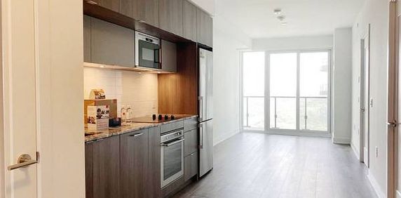 Bloor/Parliament-Bright Luxurious 1Bedroom+Den 1Bath - Photo 2