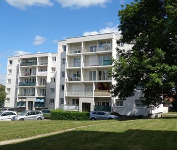 TYPE 3 MIRECOURT - Photo 4