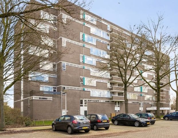 Apartment Eindhoven - Maalakker - Foto 1